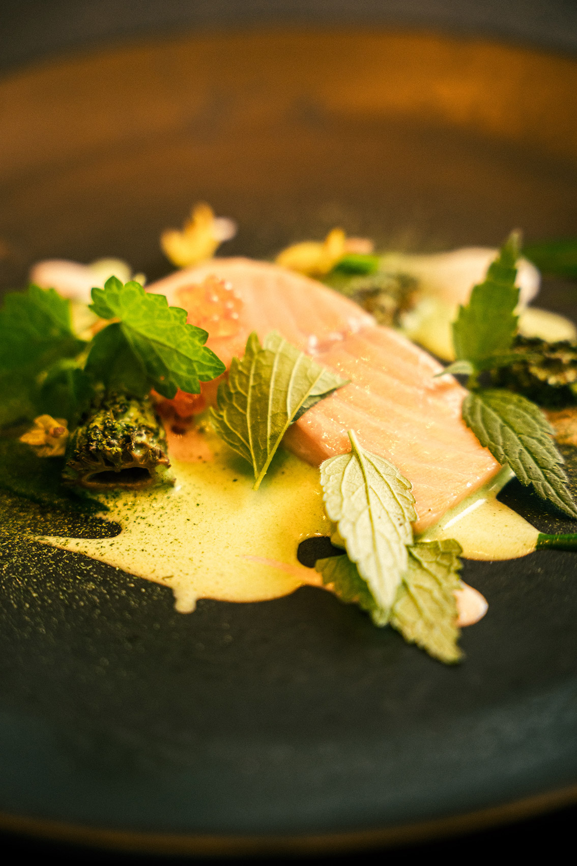 plat saumon au restaurant L'Ostal à Clermont-Ferrand