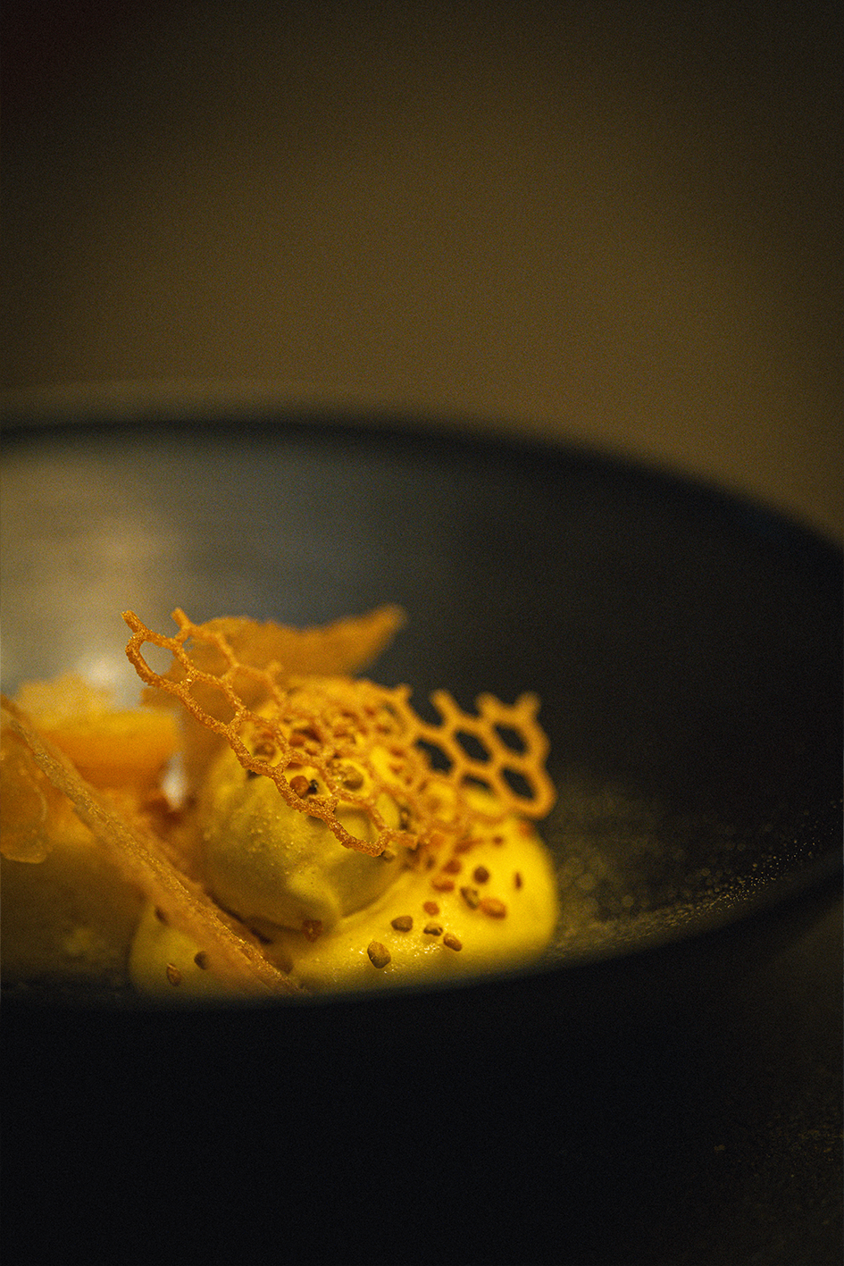 ostal-plat